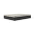 Dawn House Adjustable Hi-Low Smart Hospital Bed